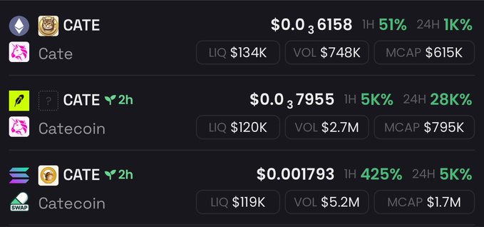 The image shows three cryptocurrency tokens with the ticker "CATE" listed on a trading platform, displaying prices (~$0.31658, $0.37955, $0.001793), percentage changes, liquidity, volume, and market cap metrics. It visually supports the post's commentary about confusion in the crypto space, as multiple coins share the "CATE" ticker—including "Cate" and "Catecoin" variants—reflecting the chaos around which project claims legitimacy, with the lowest-priced CATE showing a massive 425% 1-hour surge that likely fueled the KOL outrage mentioned.