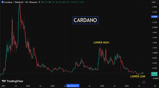 A TradingView weekly chart of Cardano/TetherUS on Binance showing a massive price spike followed by a long downtrend, with annotations marking a 'LOWER HIGH' around late 2024 and a 'LOWER LOW' in 2026.