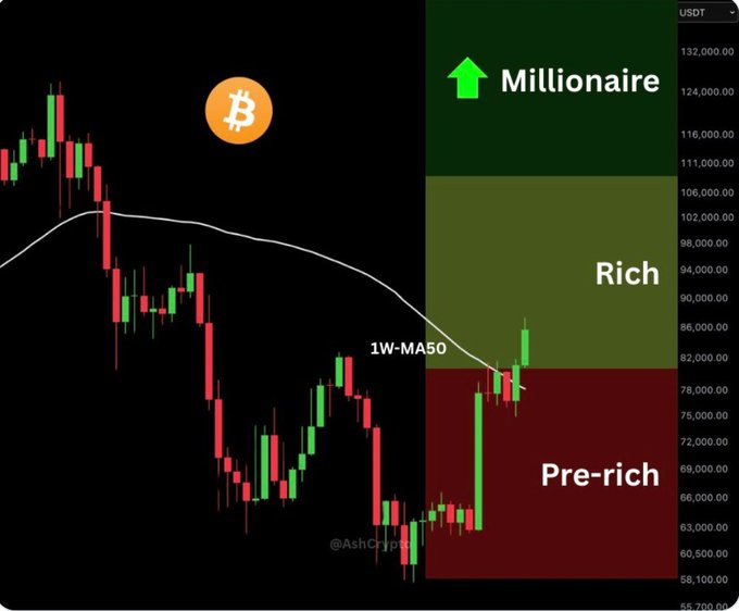 A Bitcoin price chart illustrates wealth tiers, labeling zones from 'Pre-rich' at the bottom to 'Millionaire' at the top, with the 1W-MA50 indicator visible.