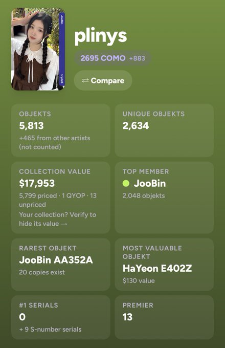 A profile page for 'plinys' showing '2695 COMO +883' with stats including 'OBJECTS 5,813', 'UNIQUE OBJECTS 2,634', 'COLLECTION VALUE $17,953', 'TOP MEMBER JooBin', 'RAREST OBJECT JooBin AA352A', 'MOST VALUABLE OBJECT HaYeon E4022 $130 value', '0 #1 SERIALS', and 'PREMIER 13'.