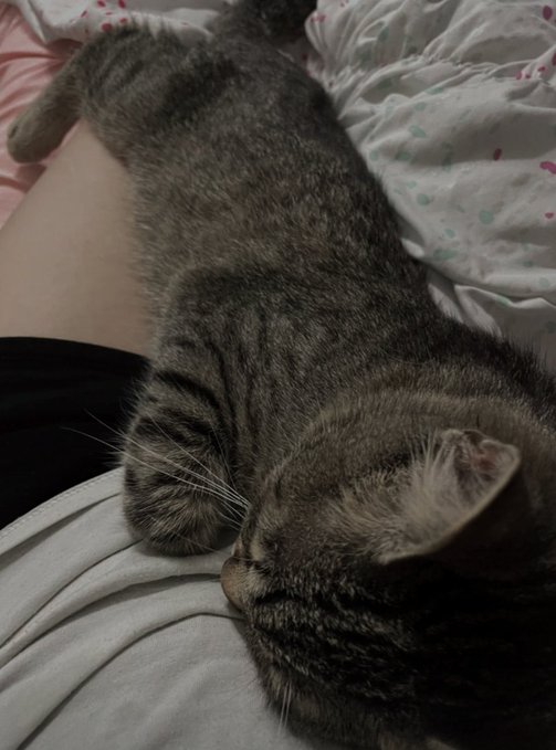 A close-up of a tabby cat sleeping peacefully on its owner's chest, with a pink heart-patterned sheet visible in the background.