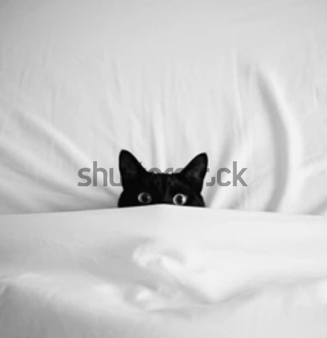 A black kitten peeks out from beneath a white sheet, only its wide eyes and ears visible. The hidden cat humorously mirrors the caption's sentiment—shying away from work the way someone tries to avoid enthusiasm, playfully concealed but still peeking out.

Note: The image contains a Shutterstock watermark.