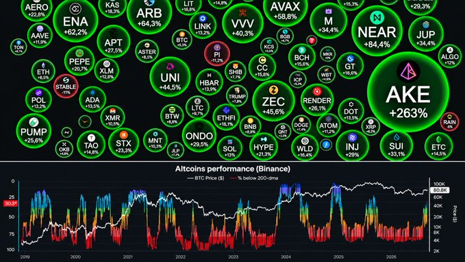 A cryptocurrency market visualization showing various altcoins in colored bubbles with their percentage changes (with AKE at +263% prominent) above a performance chart titled 'Altcoins performance (Binance)' tracking BTC Price from 2019 to 2025.