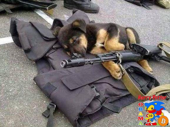 A German Shepherd puppy rests on a tactical vest next to a rifle, with boots visible in the background and a "HARDCORE HUNTER" Bitcoin-themed logo in the corner.