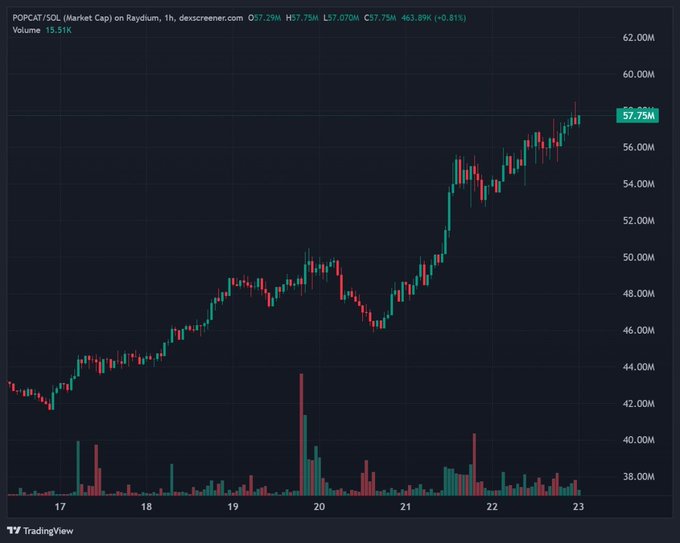 A TradingView chart showing the market cap of POPCAT/SOL on Raydium, currently at 57.75M, with price action and volume bars displayed on an hourly timeframe.