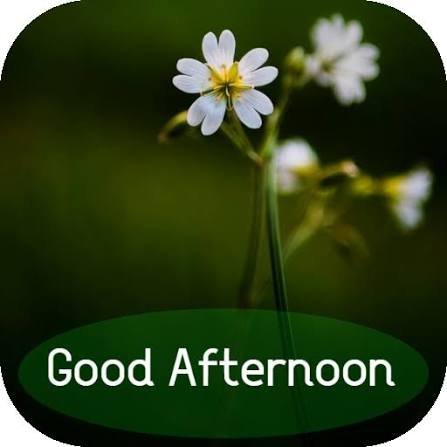 A delicate white wildflower with a yellow center stands against a soft green background, overlaid with a green banner reading "Good Afternoon." The image complements the post's theme of "movement" and "steps," using the flower's natural, organic motion and growth as a visual metaphor for the steady progress being made in the @moovexyz Web3 ecosystem.