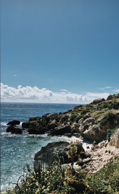 A rugged coastal scene features turquoise waves crashing against rocky cliffs beneath a bright blue sky with scattered clouds. The serene seaside landscape contrasts with the post's bold call to "Delete LinkedIn and stack Bitcoin," symbolizing a dramatic escape from conventional careers toward financial freedom.
