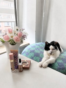 A black and white cat rests on a colorful knit blanket beside a vase of pink flowers and skincare products near a sunlit window.