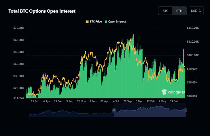 A financial chart titled 'Total BTC Options Open Interest' from Coinglass shows the historical relationship between BTC Price and Open Interest from January to July.