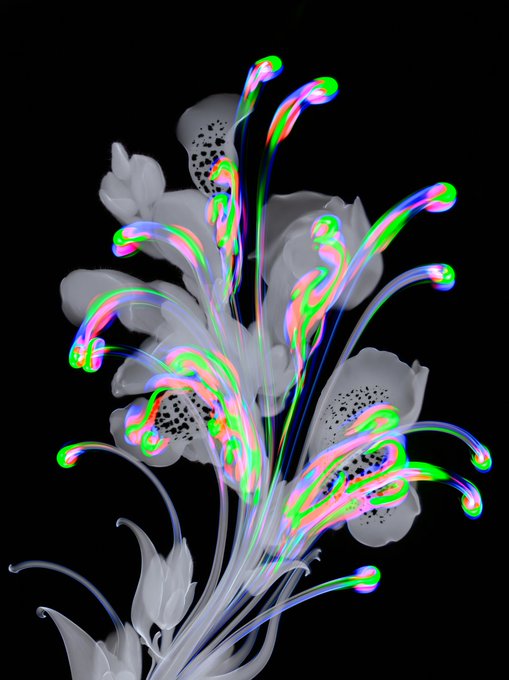 A digital art piece featuring grayscale flowers overlaid with vibrant, iridescent neon-colored tendrils and tendrils with bulbous tips on a black background.
