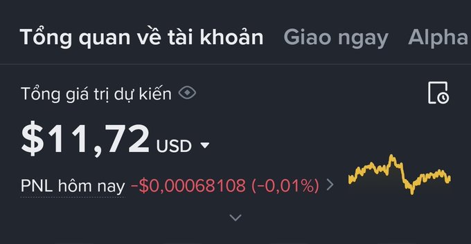 A portfolio overview screenshot in Vietnamese showing a total estimated value of $11.72 USD with today's PNL at -$0.00068108 (-0.01%).
