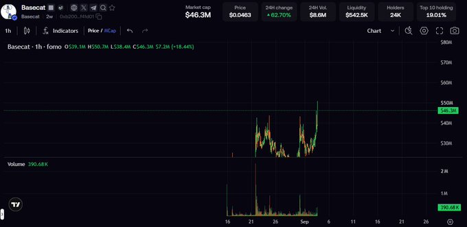 Screenshot of a cryptocurrency chart for 'Basecat' showing a price of $0.0463 with a 62.70% increase.