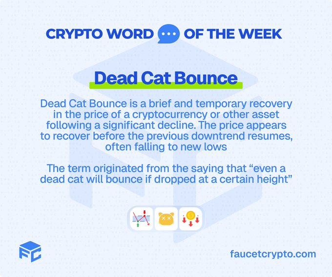A 'Crypto Word of the Week' graphic from faucetcrypto.com defines 'Dead Cat Bounce' as a brief and temporary recovery in the price of an asset following a significant decline.