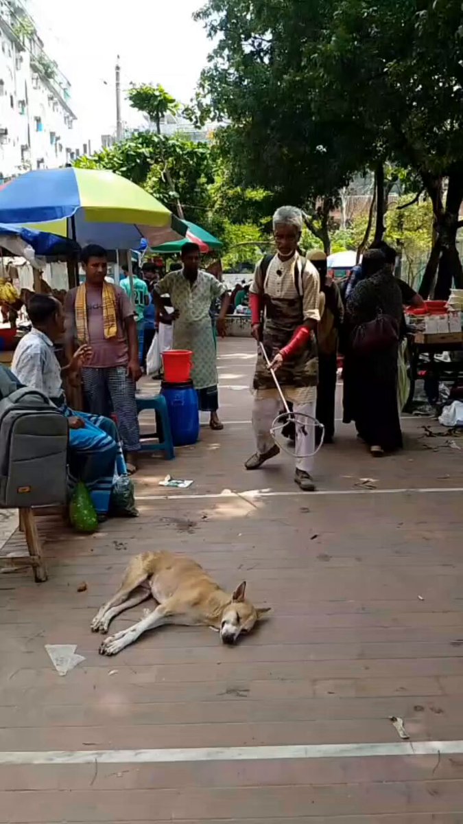 In the image, there are several people walking around with umbrellas, including one person holding an umbrella over their head. A dog can be seen lying down under a blue and yellow umbrella, appearing calm and relaxed. The scene takes place on a brick sidewalk in front of some buildings, creating a sense of urban life. The post about the dogesh bhai seems to be related to this image or the people walking around with umbrellas, as it suggests that there might be an event or gathering taking place nearby.