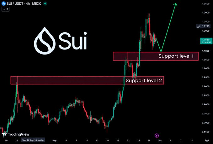 A SUI/USDT 4-hour chart from MEXC showing two support levels (around $1.05 and $0.93) and a green arrow projecting a price target near $1.35.