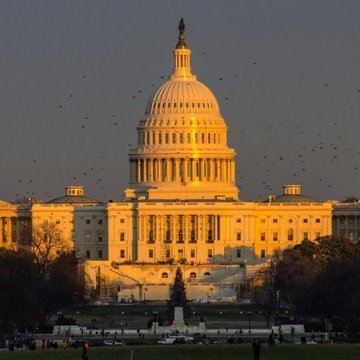 The United States Capitol building in Washington D.C. is illuminated in golden light against a dusky sky, with a flock of birds flying in the foreground.