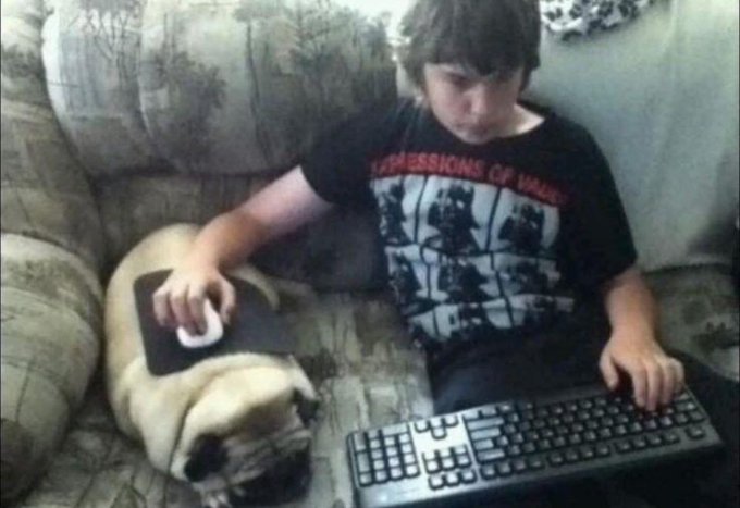 A young person wearing a 'My Chemical Romance: Demolition Lovers' t-shirt sits on a couch, using a pug as a mousepad while typing on a keyboard.