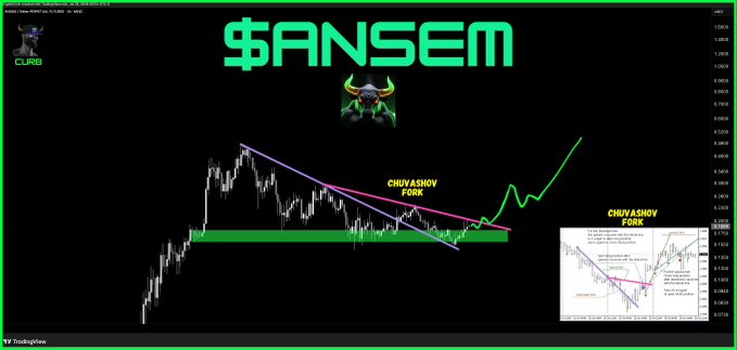 A TradingView chart of the '$ANSEM' cryptocurrency with a black background and green border, showing a descending triangle pattern with trendlines and an inset image labeled 'CHUVA SHOV FORK'.