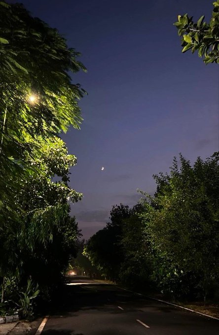 A nighttime scene of an empty road lined with trees, showing a crescent moon in the deep blue sky and a streetlamp illuminating the foliage on the left.