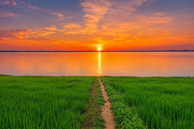 A vibrant sunset over a calm lake reflects orange and pink hues, with a dirt path cutting through a lush green field leading toward the horizon.