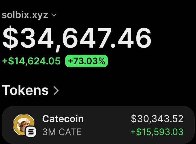 A crypto portfolio screenshot from solbix.xyz shows a total balance of $34,647.46, up +$14,624.05 (+73.03%), with the majority held in 3M CATE (Catecoin) valued at $30,343.52 and up +$15,593.03, visually supporting the post's claim of significant profits from a $14,300 Catecoin investment.