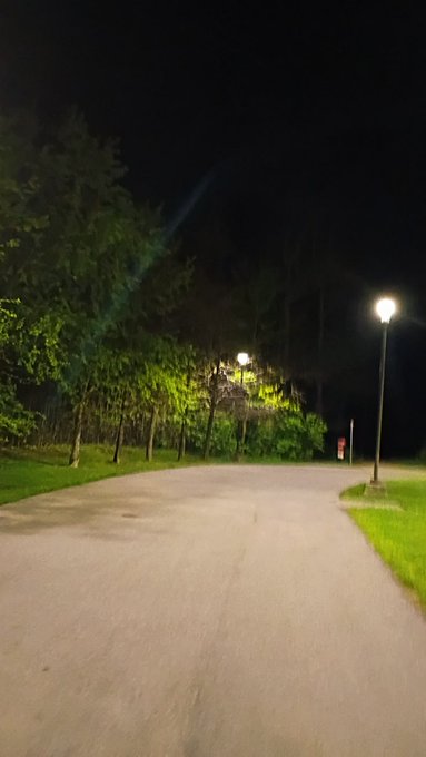 A nighttime view of a paved park pathway illuminated by street lamps, lined with trees on both sides.