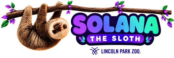 A cute sloth hangs from a branch next to the bold text "SOLANA THE SLOTH" with the Lincoln Park Zoo logo, promoting the $SOLANASLOTH token. The image aligns with the post's theme by using the sloth's signature slow-and-steady nature as a metaphor for the token's deliberate, patient market approach.