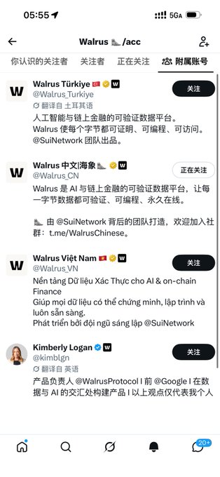 The image shows a Twitter/X follower list for the @Walrus_acc account, displaying official regional Walrus accounts (@Walrus_Turkiye, @Walrus_CN, @Walrus_VN) along with a key personal account, **Kimberly Logan (@kimblgn)**, who is listed as the product lead ("翻译自 英语" indicates English-translated content). Her bio notes she was previously at Google, directly supporting the post's claim that she is Walrus's new product lead replacing Rebecca Simmonds.