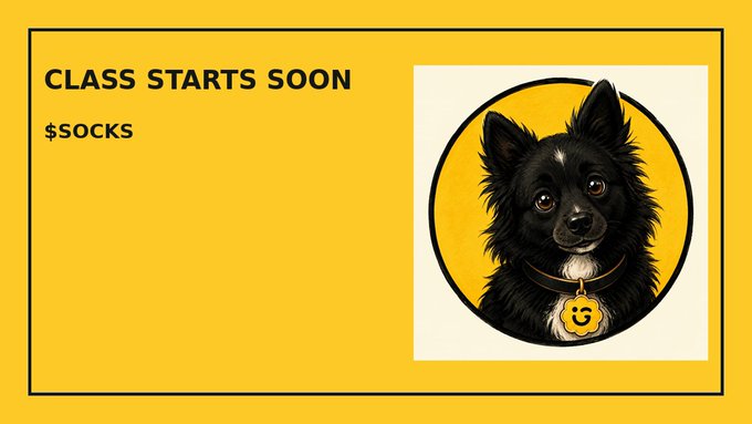 A yellow graphic with black text reading 'CLASS STARTS SOON' and '$OCKS' next to an illustration of a black dog wearing a collar with a smiley face tag.