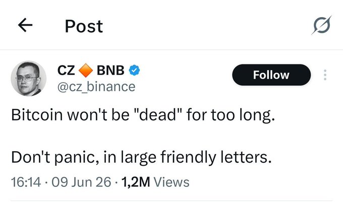 The image features a post by CZ, who has written a humorous message about Bitcoin. He states that Bitcoin isn't dead for too long, which adds a lighthearted tone to his post. The post includes a photo of himself with a caption below stating "Don't panic, in large friendly letters." This adds an element of fun and humor to the conversation surrounding Bitcoin's future.