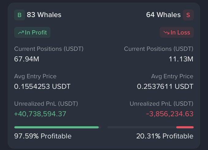 A dashboard comparing $BTW whale long and short positions, showing 83 whales in profit with $67.94M in longs at an average entry of 0.1554253 USDT (+$40.7M unrealized PnL, 97.59% profitable) versus 64 whales in loss with $11.13M in shorts at 0.2537611 USDT (-$3.86M unrealized PnL, 20.31% profitable), reinforcing the post's claim of strong bullish whale sentiment.