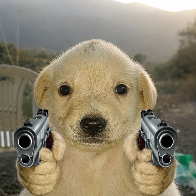 An image of a golden puppy holding two pistols aimed directly at the camera, set against an outdoor backdrop of hills and mist. The menacing, "to the moon" puppy meme humorously conveys the post's emphatic, aggressive encouragement to "buy more jotchua."