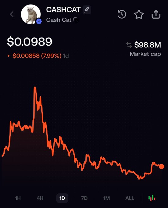 Crypto price chart for CASHCAT (Cash Cat) showing a current price of $0.0989, down $0.00858 (7.99%) over 1 day, with a market cap of $98.8M and a generally declining price trend on the 1D view.