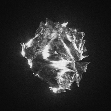 A black and white image of an irregular, abstract, crystalline or metallic shape with a highly reflective, jagged surface against a dark background.
