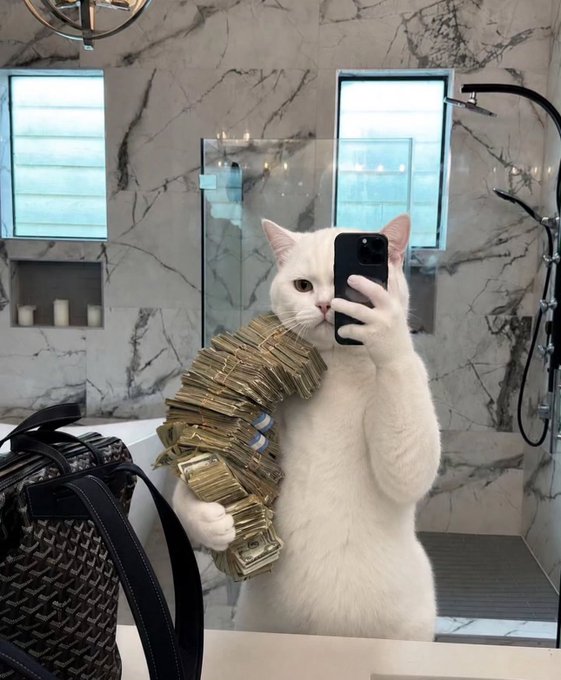 A smug white cat takes a mirror selfie in a luxury marble bathroom while draped in an enormous stack of gold belt buckles, channeling peak "main character" energy — the perfect visual for "your life is about to bloom," as if wealth and confidence are simply strutting into frame.