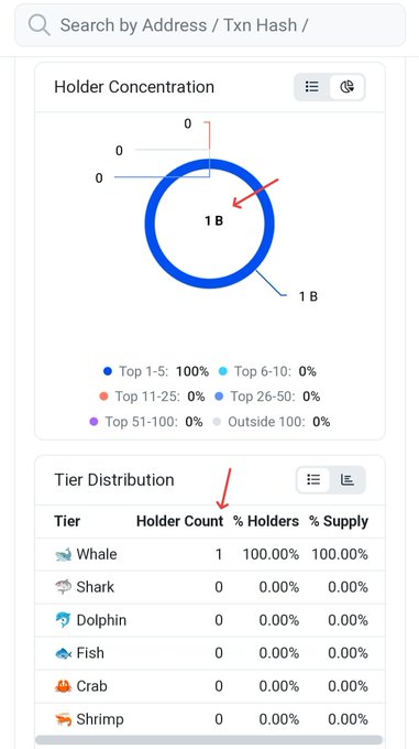 A mobile screenshot showing a 'Holder Concentration' donut chart indicating 100% held by Top 1-5 holders, with an arrow pointing to a Tier Distribution table where one 'Whale' holds 100.00% of holders and 100.00% of supply.