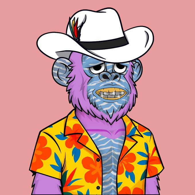 A cartoon illustration of a purple and blue ape wearing a white cowboy hat with feathers and a yellow floral Hawaiian shirt against a pink background.