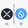 Digital icons showing the XRP (XRP) cryptocurrency logo next to the Sui (SUI) cryptocurrency logo with their respective ticker symbols.