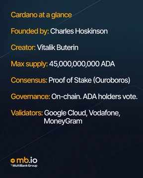 An info graphic titled 'Cardano at a glance' listing key facts: Founded by Charles Hoskinson, Creator Vitalik Buterin, Max supply 45,000,000,000 ADA, Consensus Proof of Stake (Ouroboros), On-chain governance, and Validators including Google Cloud, Vodafone, and MoneyGram. Branded by mb.io.