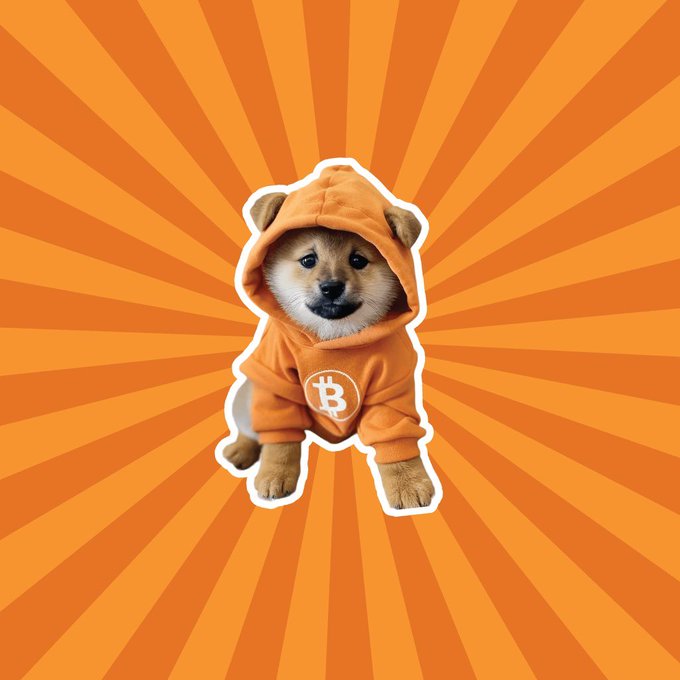 The image features a small brown dog wearing an orange hoodie with a Bitcoin symbol on it. The dog appears to be sitting or standing up against an orange background that has white lines radiating outwards, creating a sense of depth and dimension. The caption below the image reads "Making money from $DOG isn't what matters to me. What I truly want is to see $DOG succeed, grow, and reach its full potential." This message seems to be related to the Bitcoin post, as it emphasizes the importance of supporting and investing in innovative ideas like cryptocurrency.