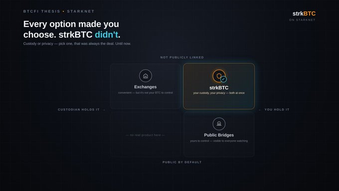 A dark promotional graphic for 'BTCFI THESIS - STARKNET' by strkBTC displays the headline 'Every option made you choose. strkBTC didn't.' with sections for Exchanges, Public Bridges, and custody details.