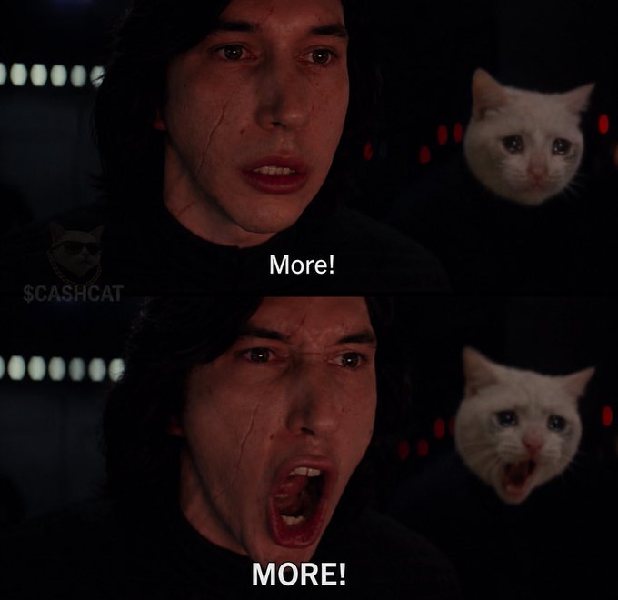 The image shows two panels featuring Kylo Ren from Star Wars shouting "More!" with increasing intensity, accompanied by a photoshopped cat head, with the watermark "$CASHCAT" visible. The meme humorously conveys the poster's unhinged enthusiasm for buying more $CASHCAT at its $36M market cap.