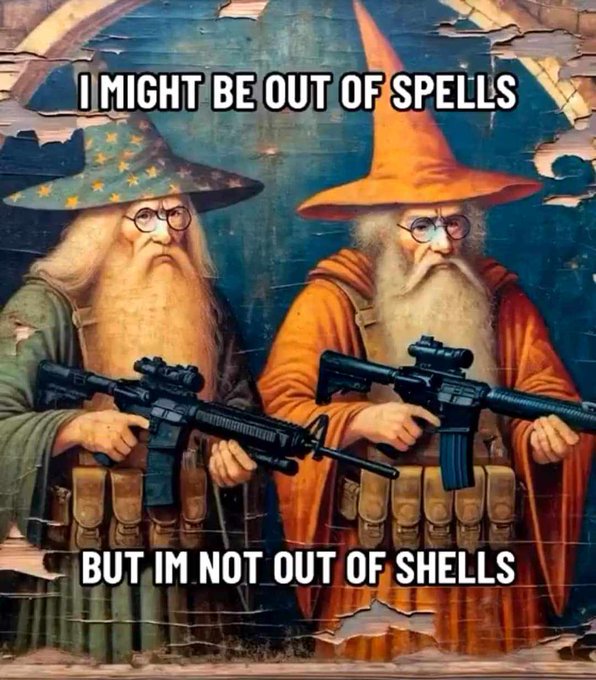 A meme showing two wizard characters holding modern rifles with text reading 'I MIGHT BE OUT OF SPELLS BUT IM NOT OUT OF SHELLS.'