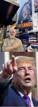 The image is a collage featuring Julian Assange on a Times Square billboard displaying "#ASSANGE" and Donald Trump pointing, which has no apparent connection to the accompanying text about cryptocurrency popularity rankings (#BTC, ETH, #DOGE, SOL) in the United States.