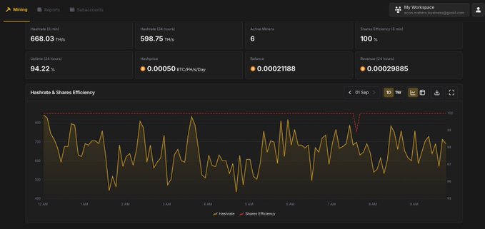 A cryptocurrency mining dashboard displaying metrics such as Hashrate (5 mins): 668.03 TH/s, Uptime: 94.22%, and Power Efficiency: 100%, along with a line graph for Hashrate & Shares Efficiency.