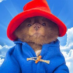 The famous 'Paddington in a red hat' meme, depicting a small bear-like creature wearing a red bucket hat and a blue duffle coat against a cloudy sky background.