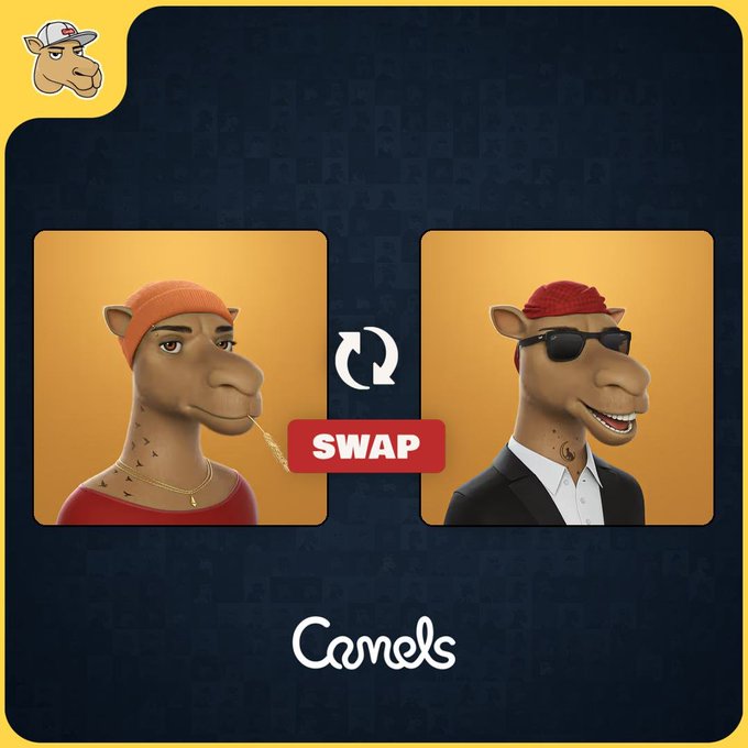 Promotional graphic for 'Camels' showing two cartoon camel characters with a 'SWAP' button between them; the left camel wears an orange beanie and red shirt, while the right camel wears sunglasses and a black suit.
