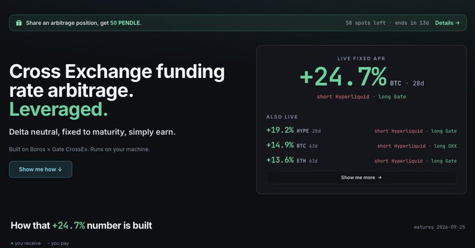 A promotional banner for Boros and CrossEx arbitrage features "Cross Exchange funding rate arbitrage. Leveraged." alongside a prominent display of "+24.7% BTC" Live Fixed APR (short HyperLiquid, long Gate) for 28 days, with additional opportunities showing +19.2% HYPE, +14.9% BTC, and +13.6% ETH, supporting the post's claim of 20%-40% APR returns via the boros.pendle.finance/crossex tool.
