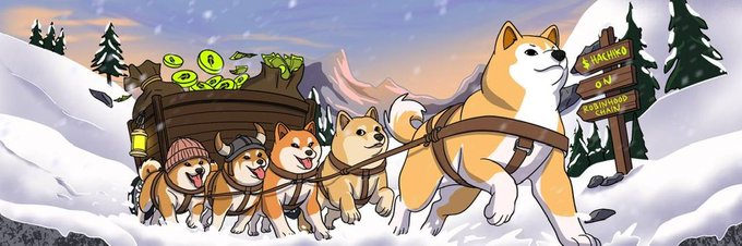 A cartoon illustration of a team of Shiba Inu dogs pulling a sled loaded with green coins through a snowy mountain landscape, with a wooden sign reading 'WARNING ON BACKWOOD CHAIN' visible.