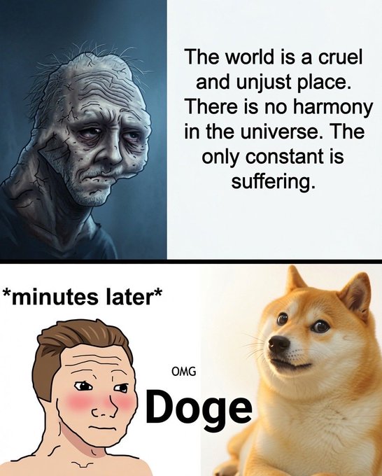 A meme contrasts a grim, wrinkled figure declaring "The world is a cruel and unjust place. There is no harmony in the universe. The only constant is suffering," with "*minutes later*" showing a blushing man reacting "OMG Doge" to the Shiba Inu dog. The post's celebration of "Doge is back! LFG Dogecoin" aligns with the bottom panel's gleeful excitement over Doge, highlighting how crypto fans instantly cheer up when Dogecoin is mentioned despite the world's woes.